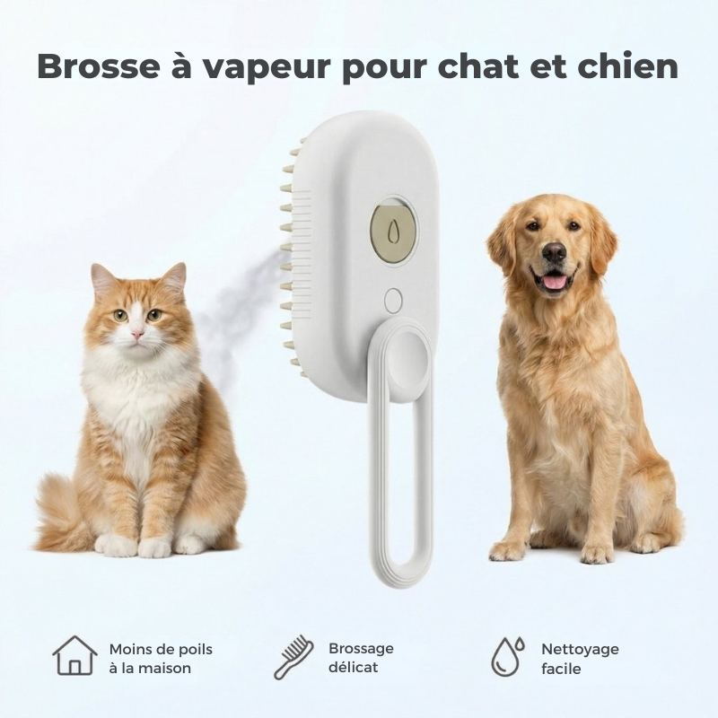 HydroPaw™ – Brosse vapeur avec humidification