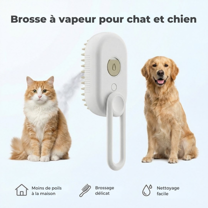 HydroPaw™ – Brosse vapeur avec humidification